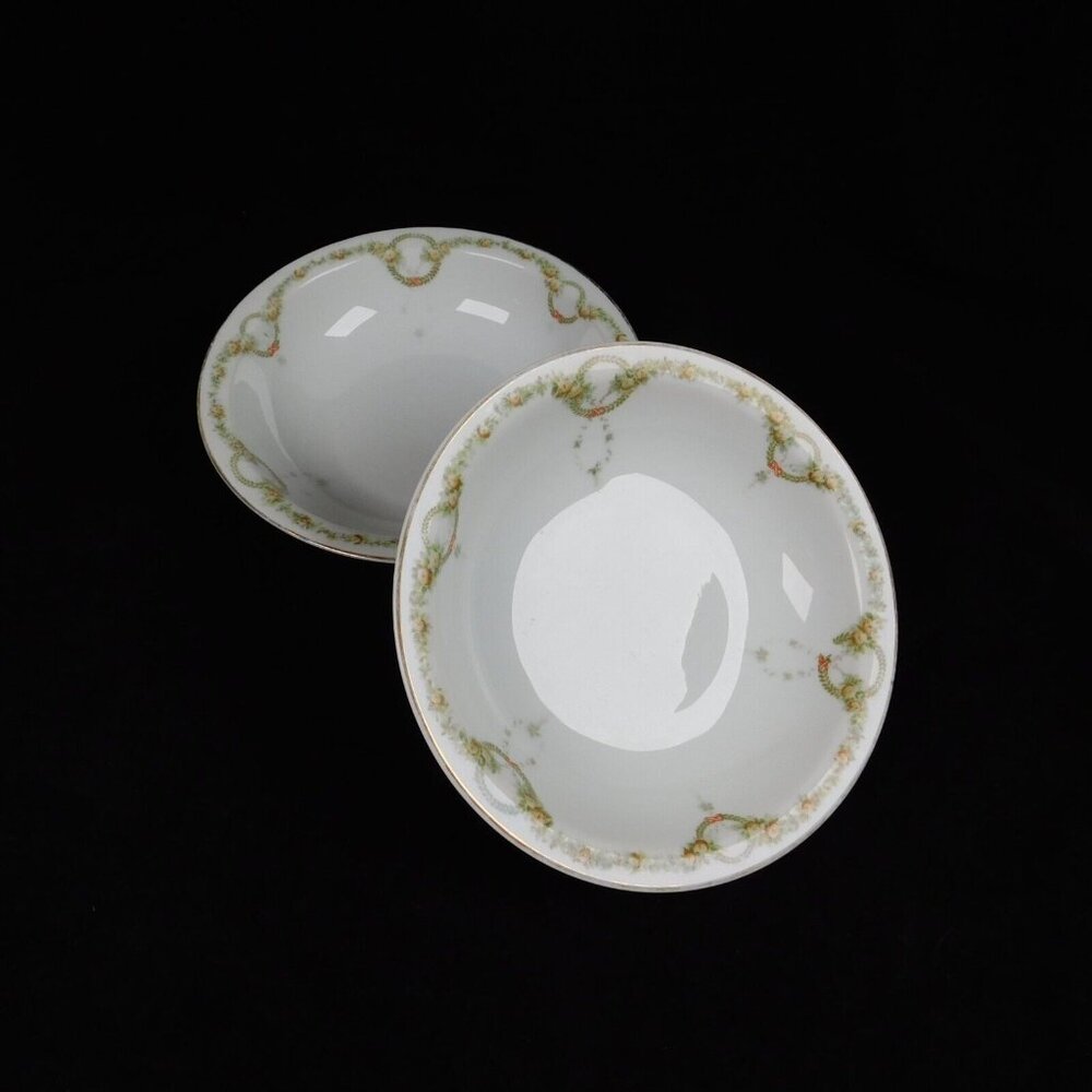 Lot of 2 Rosenthal Briar Rose Fine China Rimmed Cereal Bowl 6 3/4" Vintage